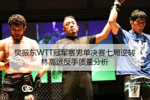 樊振东WTT冠军赛男单决赛七局逆转林高远反手质量分析
